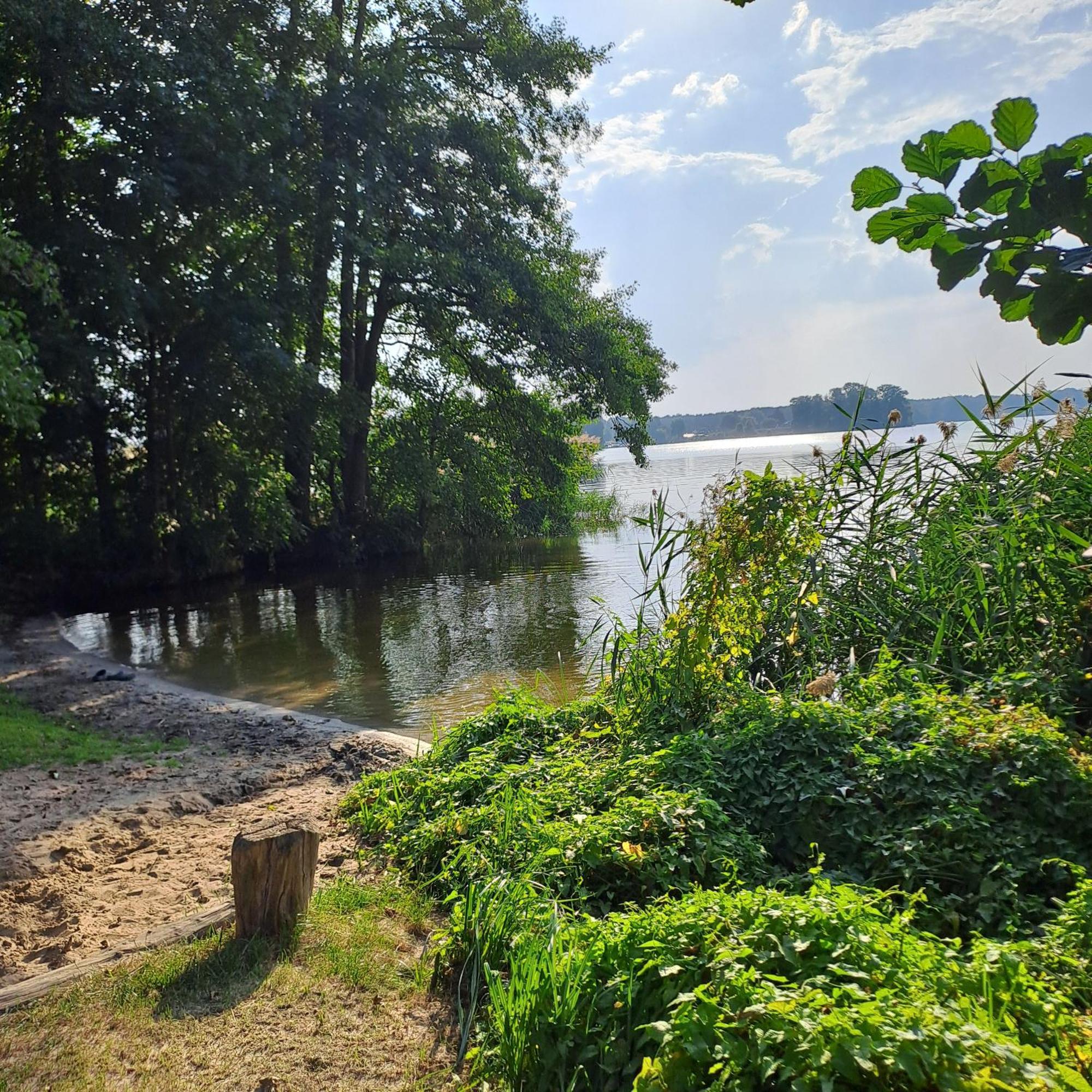 Haeuschen Am Waldrand Villa Тойпиц Екстериор снимка